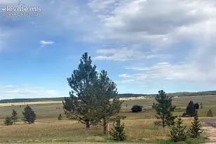 18899 Cherry Springs Ranch Dr, Monument, CO 80132 - Photo 1