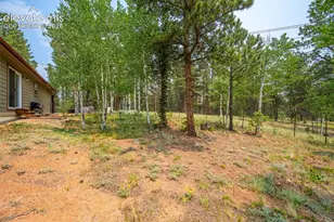 156 Fossil Creek Rd, Florissant, CO 80816 - Photo 39