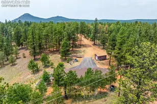 156 Fossil Creek Rd, Florissant, CO 80816 - Photo 43