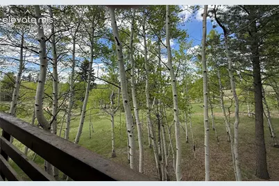 741 Elfin Glen Drive, Divide, CO 80814 - Photo 33