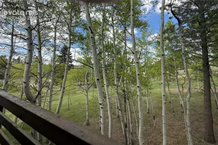 741 Elfin Glen Dr, Divide, CO 80814 - Photo 33