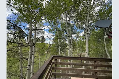 741 Elfin Glen Drive, Divide, CO 80814 - Photo 31