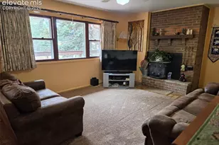 741 Elfin Glen Dr, Divide, CO 80814 - Photo 3