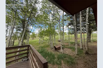741 Elfin Glen Drive, Divide, CO 80814 - Photo 35