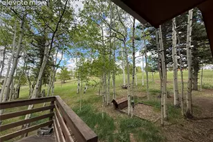 741 Elfin Glen Dr, Divide, CO 80814 - Photo 35