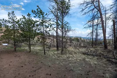 144 Chapparal Trail, Florissant, CO 80816 - Photo 11