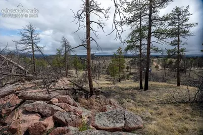 144 Chapparal Trail, Florissant, CO 80816 - Photo 7