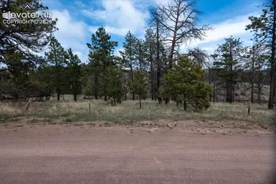 144 Chapparal Trail, Florissant, CO 80816 - Photo 3
