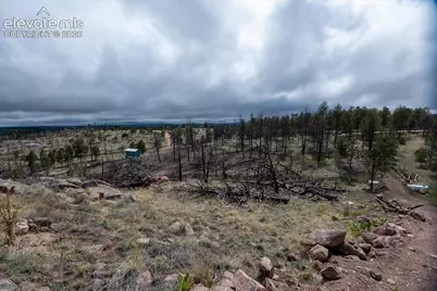 144 Chapparal Trail, Florissant, CO 80816 - Photo 9