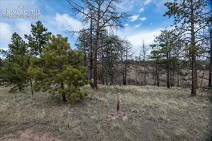 144 Chapparal Trail, Florissant, CO 80816 - Photo 1