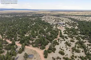 2911 Co Rd 103, Florence, CO 81226 - Photo 39