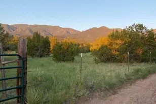 2911 Co Rd 103, Florence, CO 81226 - Photo 27
