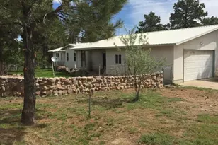 2911 Co Rd 103, Florence, CO 81226 - Photo 1