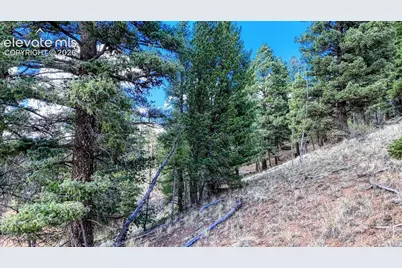 783 Bennett Drive, Cripple Creek, CO 80813 - Photo 17