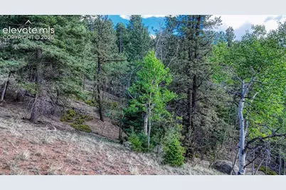 783 Bennett Drive, Cripple Creek, CO 80813 - Photo 13