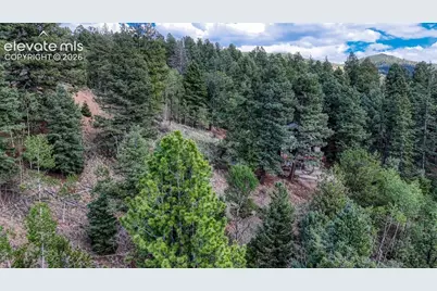783 Bennett Drive, Cripple Creek, CO 80813 - Photo 11