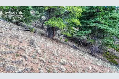 783 Bennett Drive, Cripple Creek, CO 80813 - Photo 15