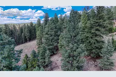 783 Bennett Drive, Cripple Creek, CO 80813 - Photo 3