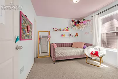 7827 Lathrop View, Colorado Springs, CO 80924 - Photo 27