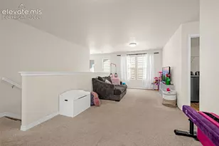 7827 Lathrop Vw, Colorado Springs, CO 80924 - Photo 23