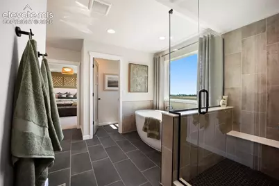 8732 Laguna Niguel Way, Colorado Springs, CO 80908 - Photo 25