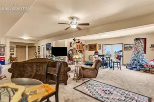 316 Greenhorn Dr, Canon City, CO 81212 - Photo 37