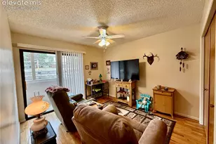 6963 Gayle Lyn Ln, Colorado Springs, CO 80919 - Photo 19