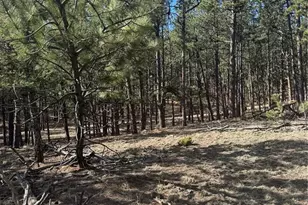 642 Matterhorn Dr, Florissant, CO 80816 - Photo 1