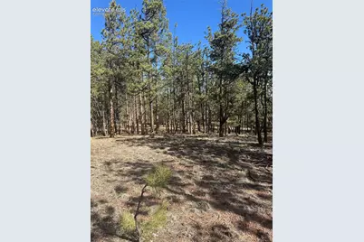 642 Matterhorn Drive, Florissant, CO 80816 - Photo 3