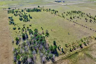 4520 N Ramah Hwy, Yoder, CO 80864 - Photo 49