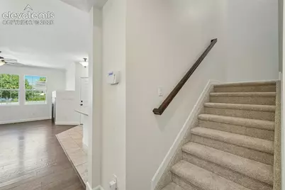 5454 Jordy Russ Grove, Colorado Springs, CO 80924 - Photo 19