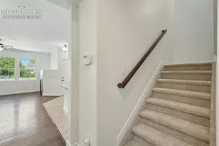 5454 Jordy Russ Grove, Colorado Springs, CO 80924 - Photo 19