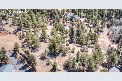 110 La Abu Trail, Florissant, CO 80816 - Photo 5