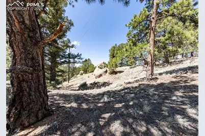 110 La Abu Trail, Florissant, CO 80816 - Photo 17
