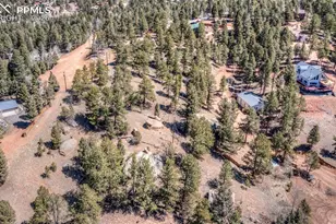 110 La Abu Trail, Florissant, CO 80816 - Photo 1