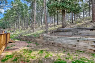 590 Manor Ct, Woodland Park, CO 80863 - Photo 5