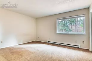 590 Manor Ct, Woodland Park, CO 80863 - Photo 29