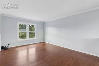 103 Aurelia Street, Palmer Lake, CO 80133 - Photo 11
