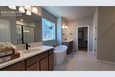 6658 Miro Lane, Colorado Springs, CO 80924 - Photo 21