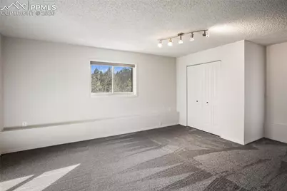 45 Barr Lake Circle, Divide, CO 80814 - Photo 25