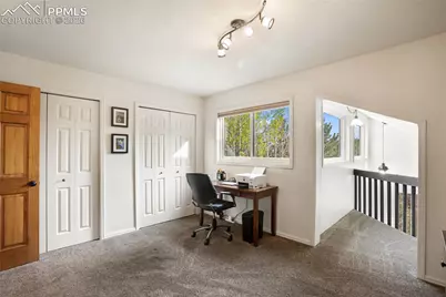 45 Barr Lake Circle, Divide, CO 80814 - Photo 21