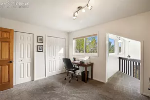 45 Barr Lake Cir, Divide, CO 80814 - Photo 21