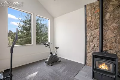 45 Barr Lake Circle, Divide, CO 80814 - Photo 27