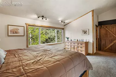 45 Barr Lake Circle, Divide, CO 80814 - Photo 17