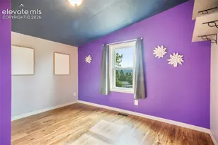 696 Calle De La Nieva Na, Florissant, CO 80816 - Photo 35