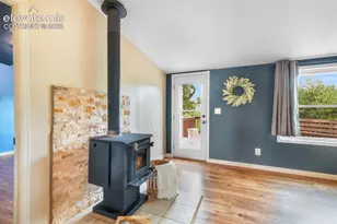 696 Calle De La Nieva Na, Florissant, CO 80816 - Photo 23