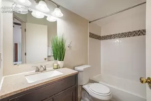 1010 Magic Lamp Way, Monument, CO 80132 - Photo 25