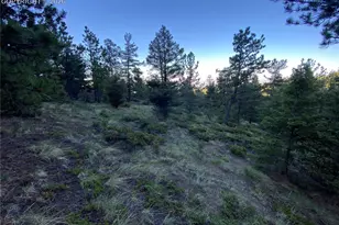 285 Forest Rd, Manitou Springs, CO 80829 - Photo 1