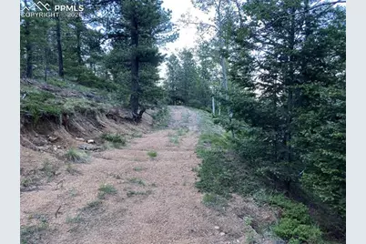 285 Forest Road, Manitou Springs, CO 80829 - Photo 9