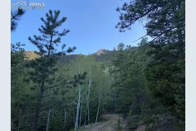 285 Forest Road, Manitou Springs, CO 80829 - Photo 3